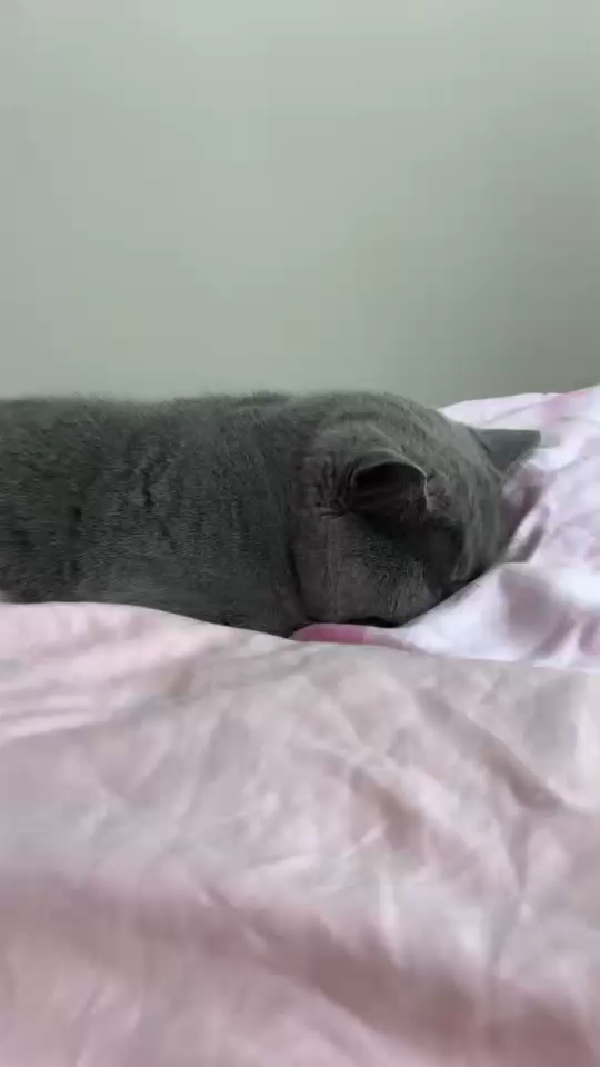 这是犯错了吧