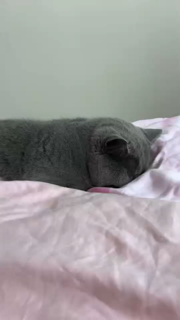 这是犯错了吧
