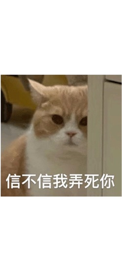 新人小喵🌝主播照片