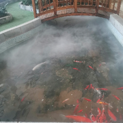 白玉京🇨🇳海报