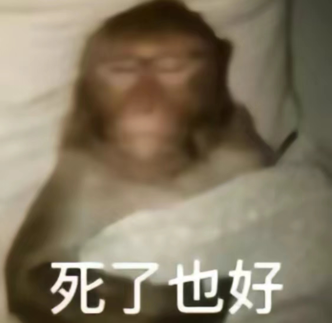 甜伈温柔版的主播照片
