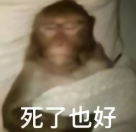 甜伈温柔版主播照片