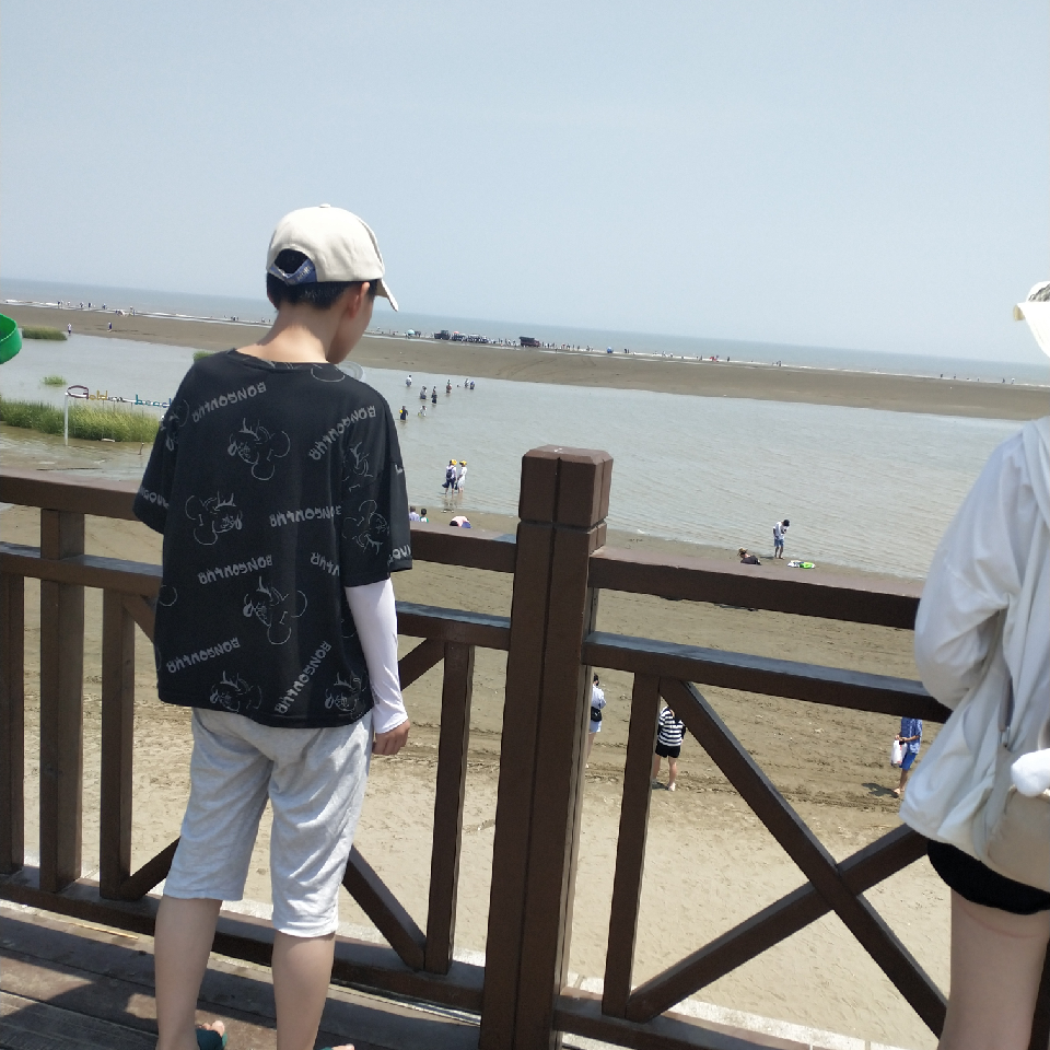 临风当歌海报