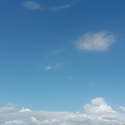 随缘人生☆的头像
