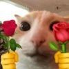 。。。3r7y