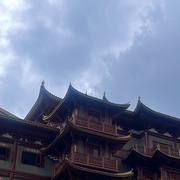 萌新宝宝ghfyf的头像