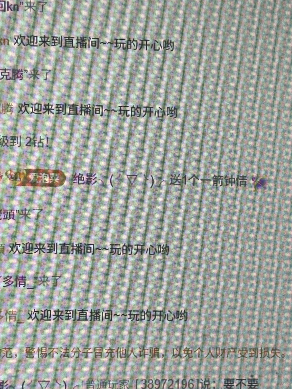 小九暴富猫的图片