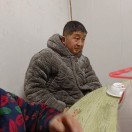 百日草m