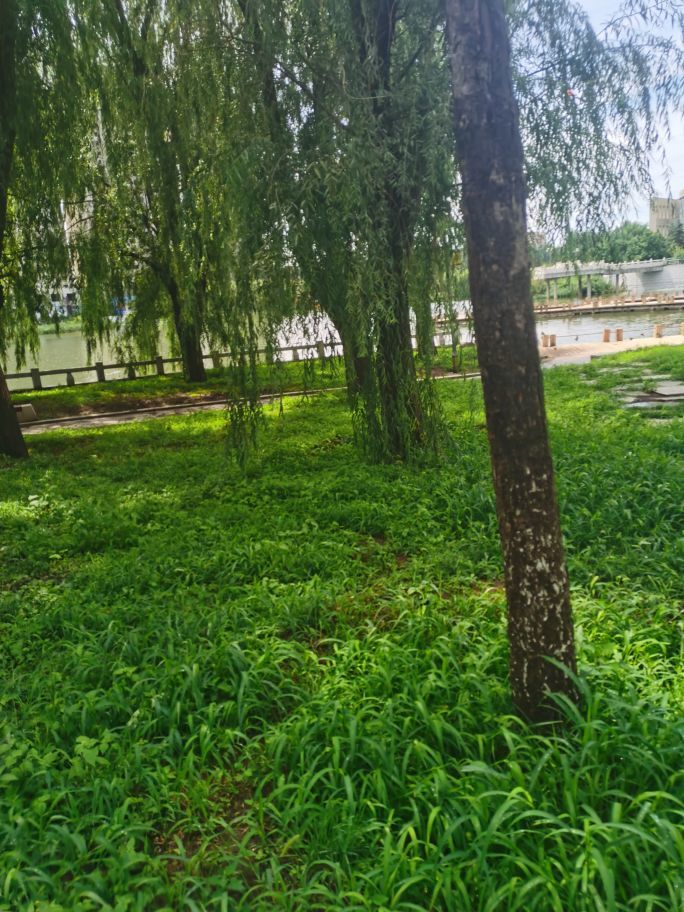 天王盖地虎044的主播照片