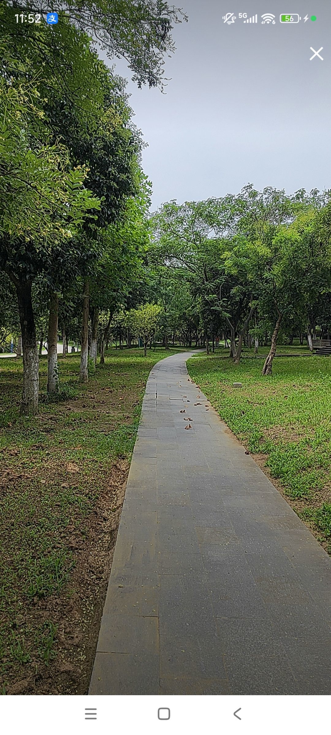 婷婷💕感恩有你陪伴主播图片