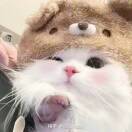 玄小太阳的头像