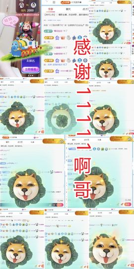 金麒麟安静唱歌🎤主播照片