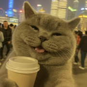水果大老虎的头像