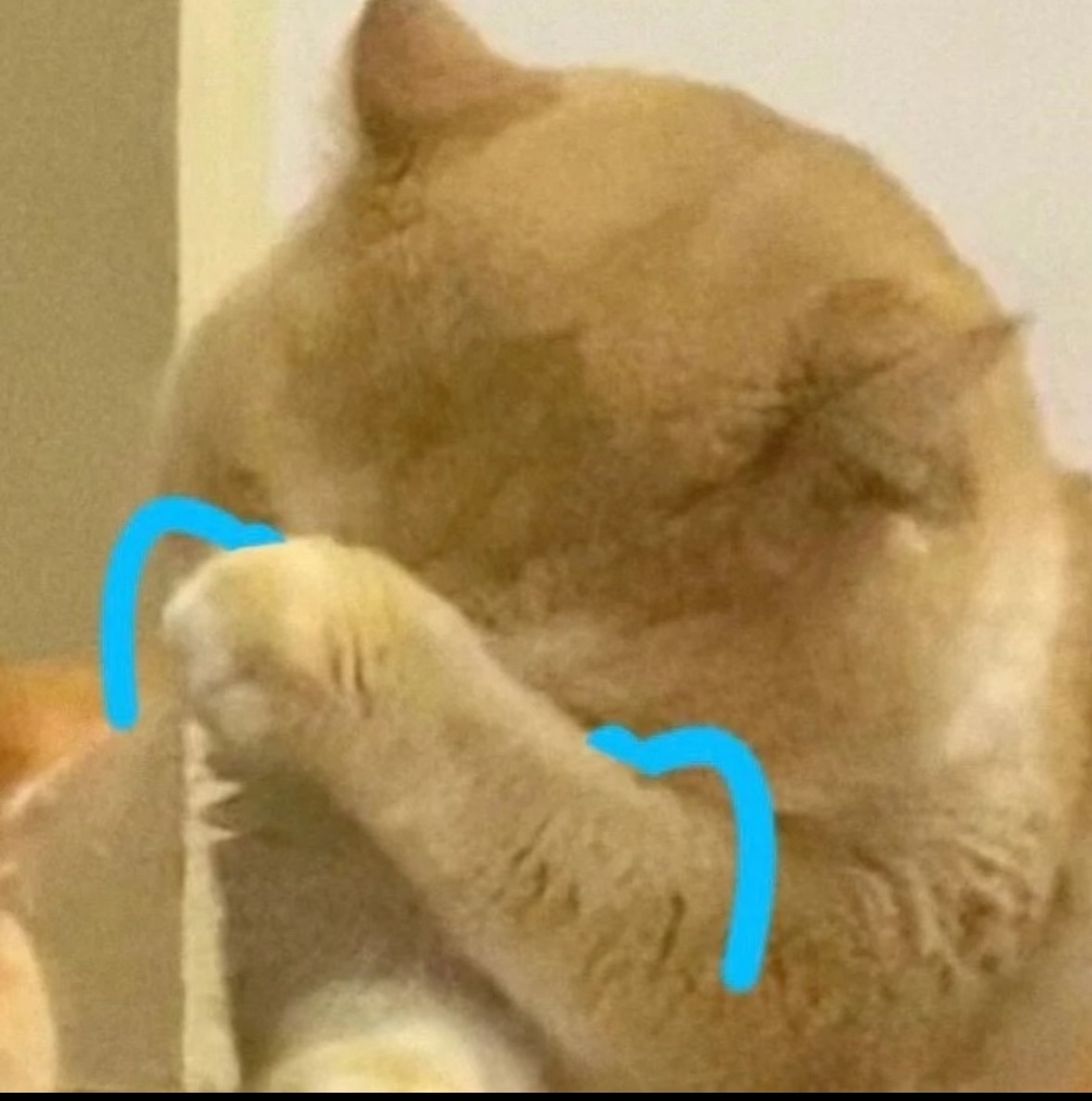 抱抱馨💌23号播。主播图片
