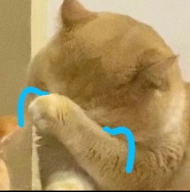 抱抱馨💌主播照片