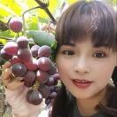 丽丽lmm的头像