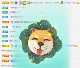 代理心雨九月好运连连主播照片