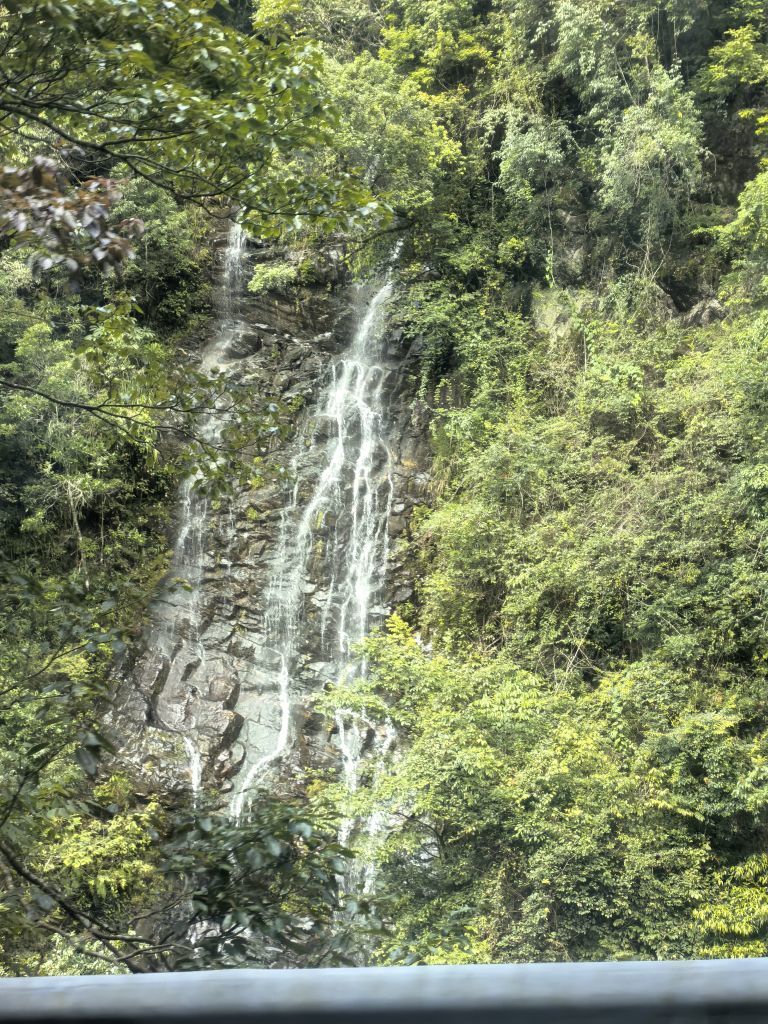 ☜花香染晨☞的图片