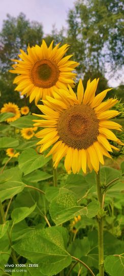 妞妞骑行宁夏银川主播照片