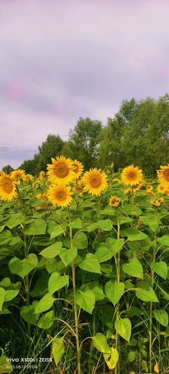妞妞骑行宁夏银川主播照片