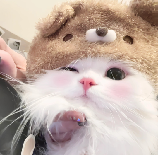 戴着春心找荡漾海报