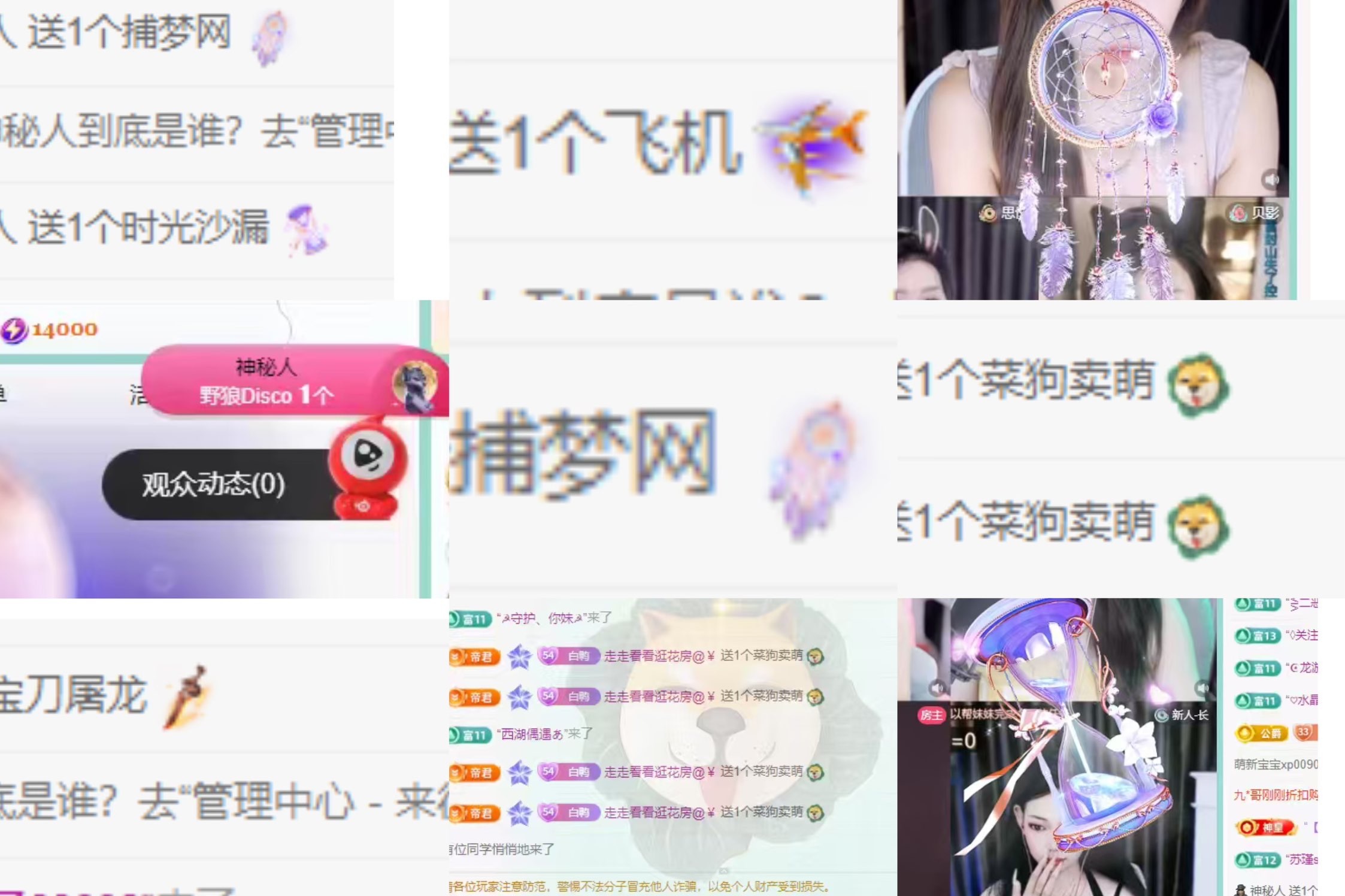 白Y鸭的图片