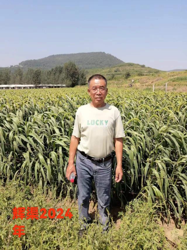 荣潍集团张总主播图片