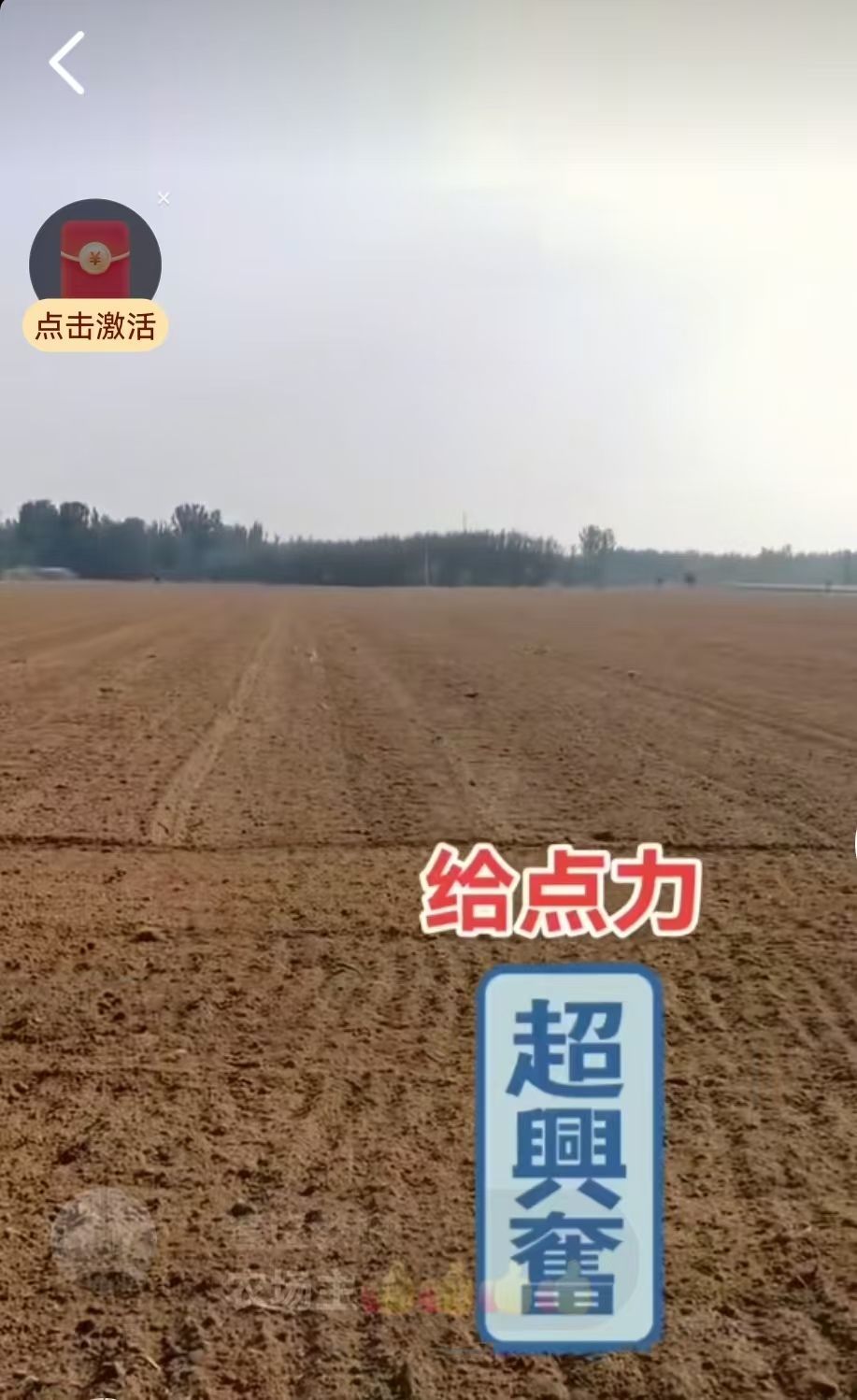 荣潍集团张总主播图片