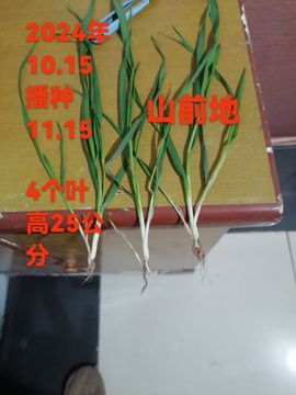 荣潍集团张总主播照片