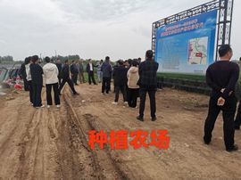 荣潍集团张总主播照片