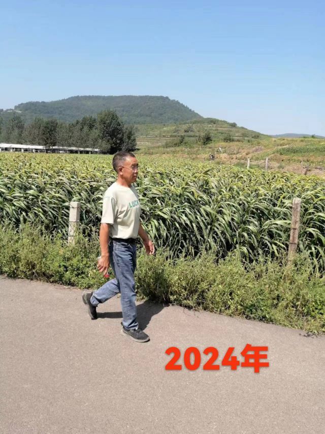 荣潍集团张总主播图片
