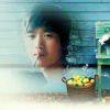 百无一用是痴心g