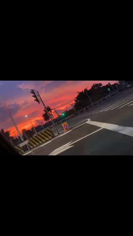 “越大越觉孤单 风景