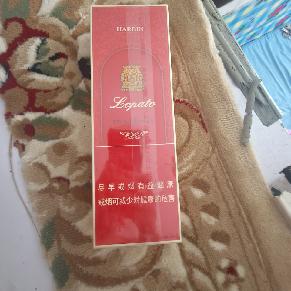 夏日小姐海报