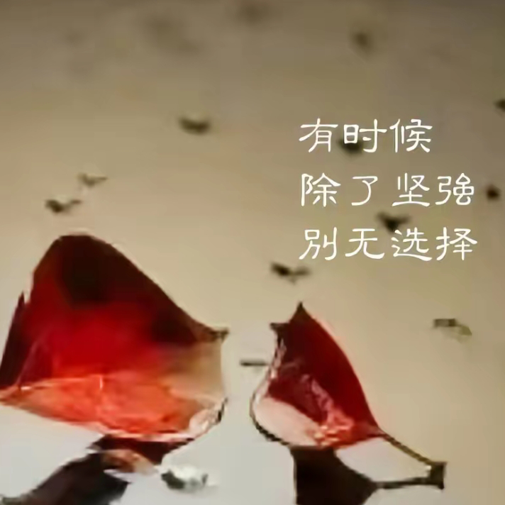 暗香⸝⸝海报
