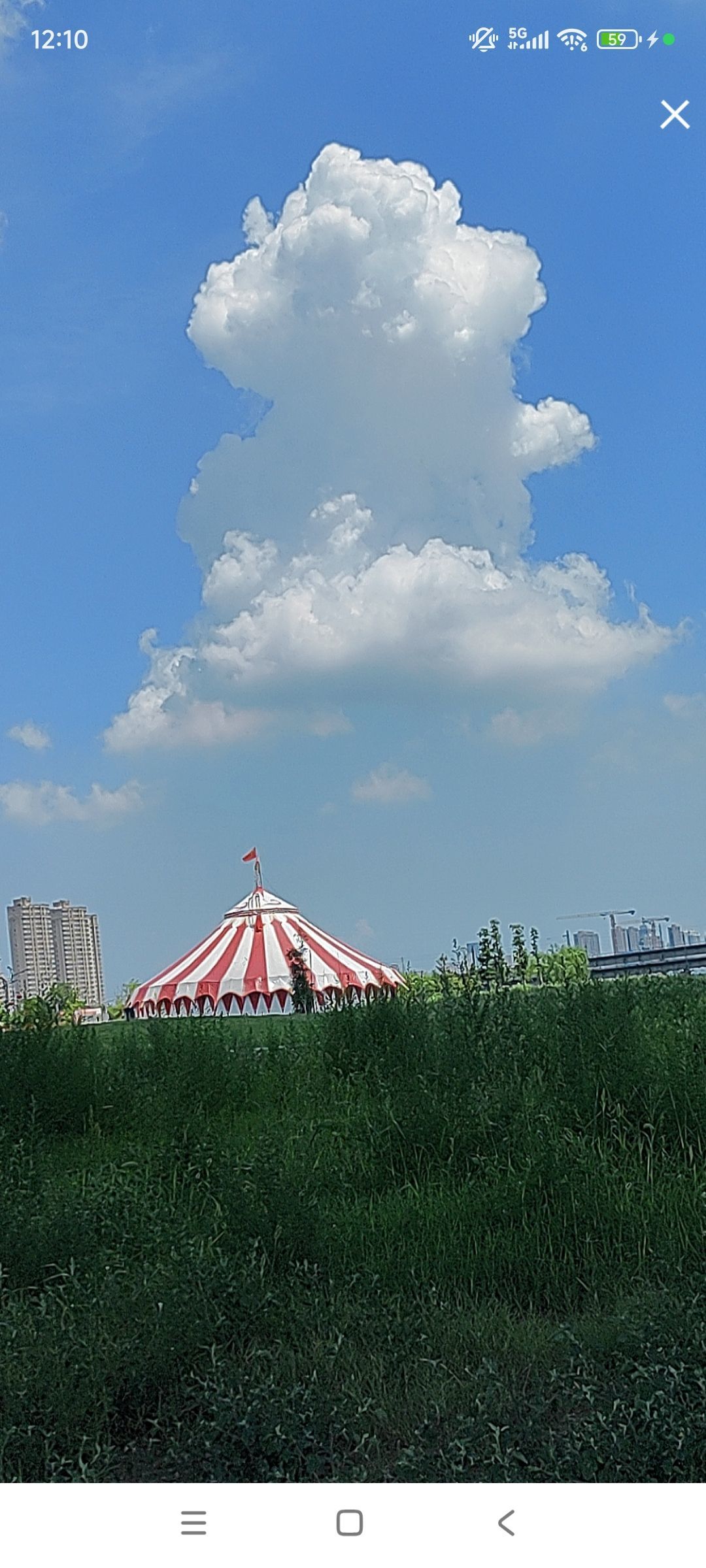婷婷💕感恩有你陪伴主播图片