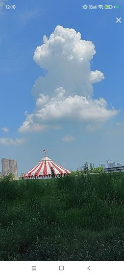 婷婷💕感恩有你陪伴的图片