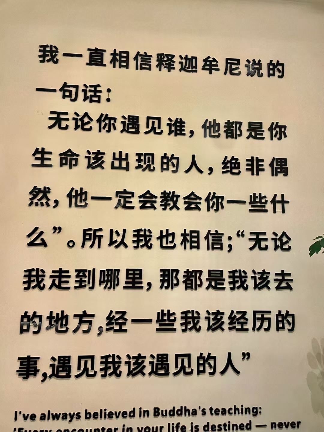 魔萱🎀的图片