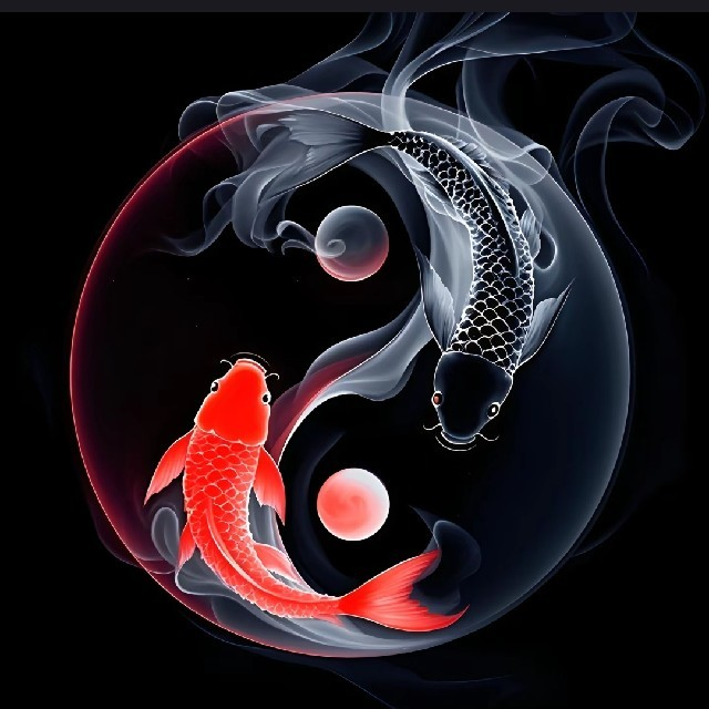 昍円.海报