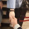 留点小胡须zb