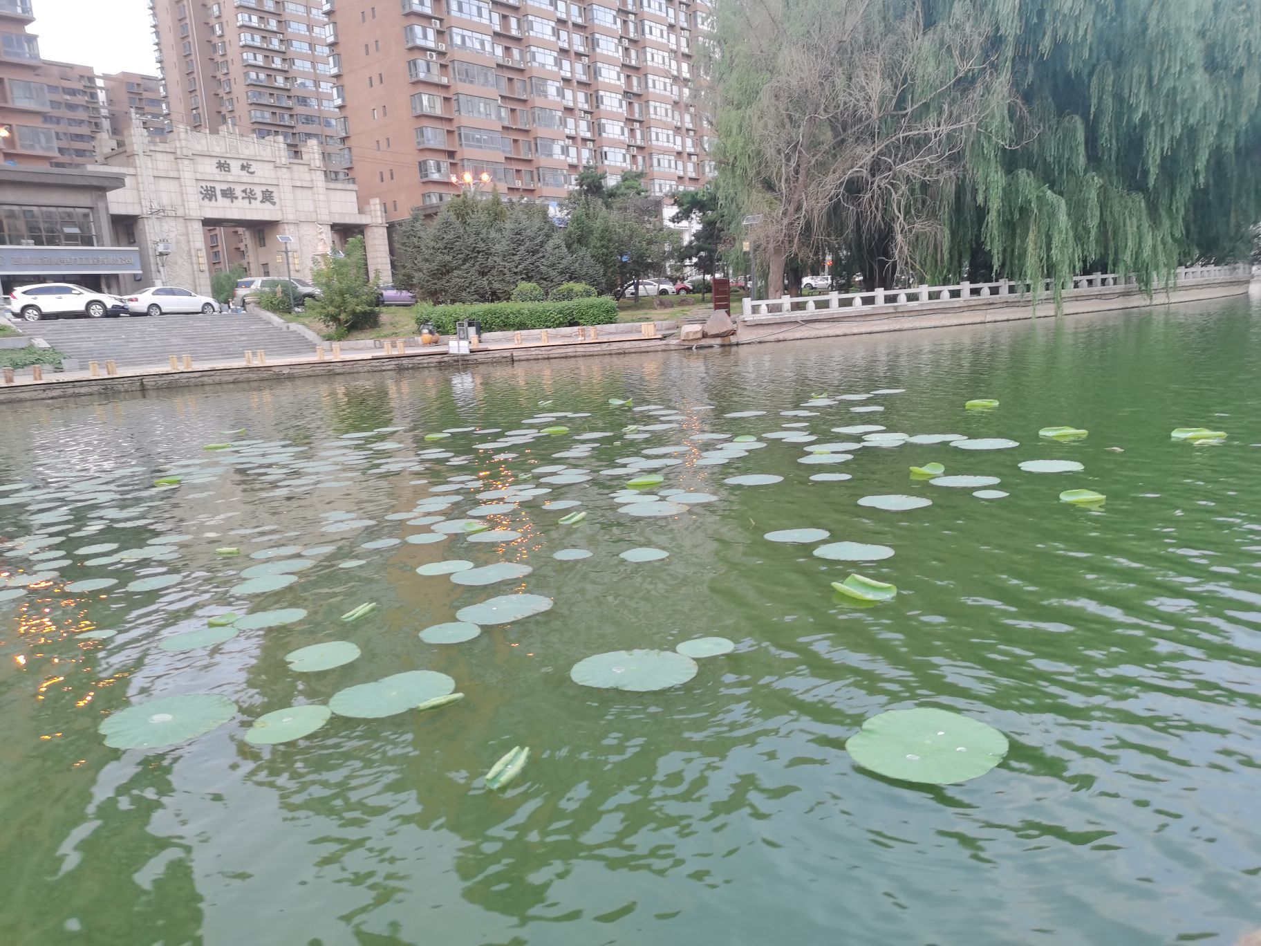 天王盖地虎不一样烟火的图片