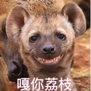 塞外引弓