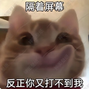 落🐟的头像