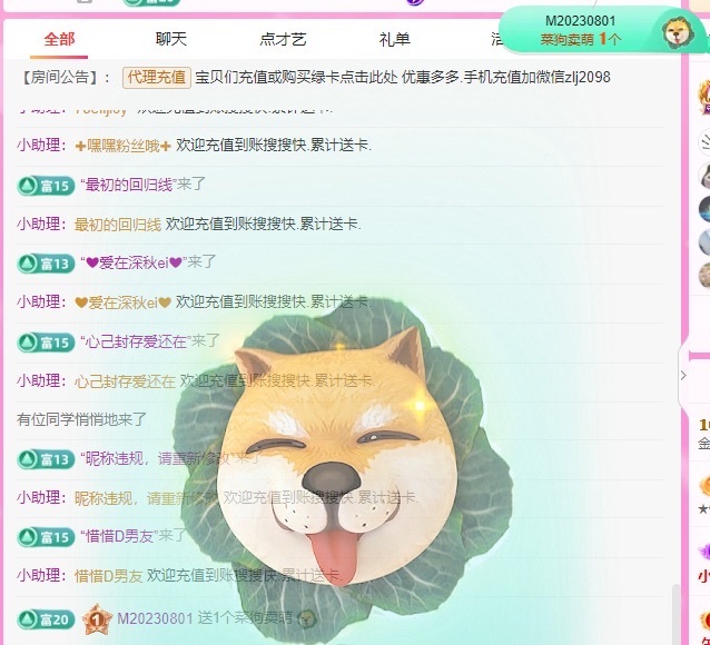 金牌代理❤玲儿❤主播图片