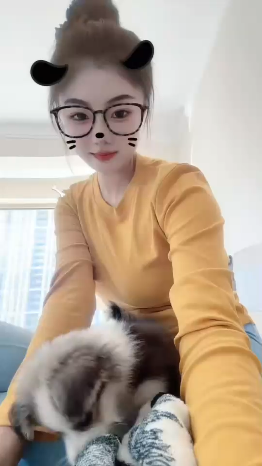 幼年时期的小嘎豆/狗