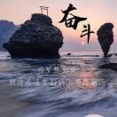 韩向阳t