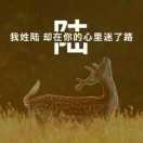 我是陆群
