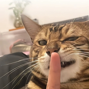 100869911的头像