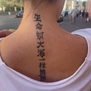 交把把的头像