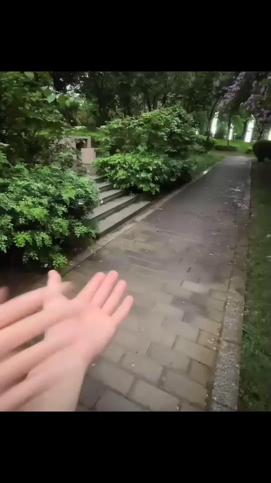 步调一致的人不会走散